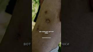 18+ПОЛНОЕ ВИДЕО СМОТРЕТЬ В МОЁМ ТЕЛЕГРАММ КАНАЛЕ ССЫЛКА В ШАПКЕ ПРОФИЛЯ ИЛИ НА САЙТЕ madeinrehab.ru