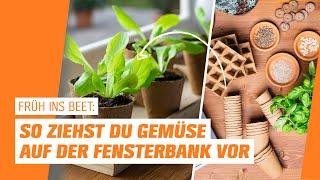 Anzucht auf der Fensterbank I OBI I Früh ins Beet – Folge 1