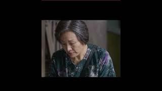 Мой Хатико #2023 #сериалы #Фильм