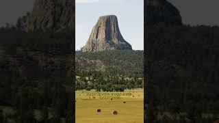 Devils Tower - Myths and Facts (Part 2) #facts #myths #devilstower