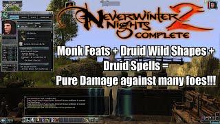 Neverwinter Nights 2 Nature's Shifter Druid Monk Build