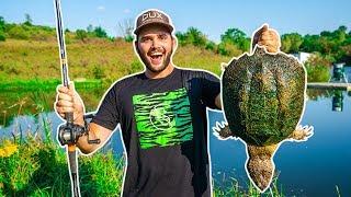 Giant SNAPPING TURTLE Catch Clean Cook!!! (BACKYARD POND)