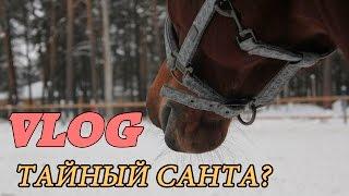 VLOG С КОНЮШНИ | ТАЙНЫЙ САНТА?