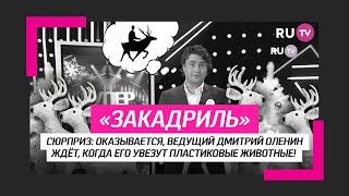 Дмитрий Оленин ждёт, когда его увезут пластиковые животные