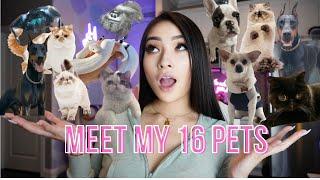 MEET ALL MY PETS! l DOBERMANS, SPIDERS ETC