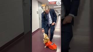 Овечкин и корги! Милота ️ #hockey #nhl