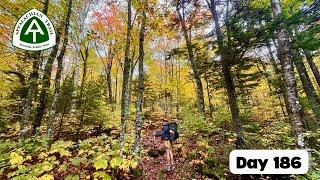 Day 186 - more gorgeous fall color!  | AT thru hike 2024