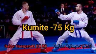 Karate Kumite -75  Gabor Harspataki (HUN) Vs Rafael Aghayev (AZE) European Karate Championship 2018