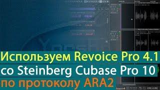 Использование Revoice Pro 4.1 с Cubase Pro 10 по протоколу ARA2 [Yorshoff Mix]