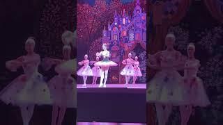 Магнолия - Арина Денисова. Графини Вишни - Софья Валиуллина, Александра Трикоз. Чиполлино.
