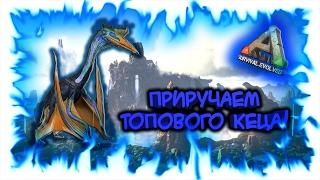 ARK: Survival Evolved! Приручаем топового Кеца!