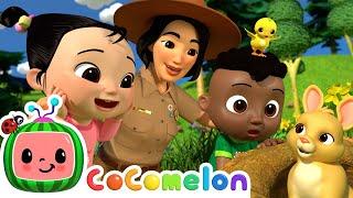 Walking like a Duck | CoComelon - It's Cody Time | CoComelon Songs for Kids & Nursery Rhymes