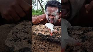 the world shed tears, seeing the departure of this most beautiful fish #short #trending #viral #fyp
