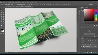 Brochure mockup setup