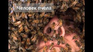 Ты пчела я пчеловод
