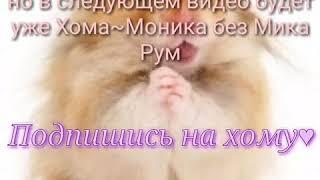 RYTP-Хоббит