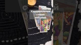 ️Срочные Новости...  Расклад таро #таро #tarot #таролог