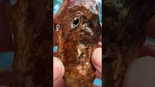 How to clean Ancient Coral Geode’s 🪸 #crystals #rocks #geology #gems #rockhounding #fossils