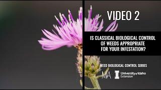 2.  Is classical weed biological control appropriate for your weed infestation?