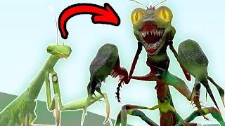 NEW INFECTED MANTIS ZOOCHOSIS MUTANT (Garry`s Mod)