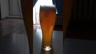 glass of beer being laughed at