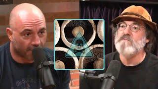 The Paul Stamets Portobello Mushroom Incident On The JRE Podcast | Joe Rogan