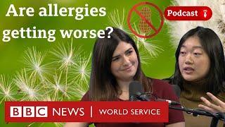 What’s causing the increase in allergies? - What in the World podcast, BBC World Service