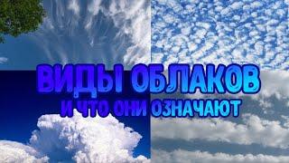 Виды Облаков И Что Они Означают ️