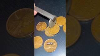 3 steps to find a $300,000 coin! #pcgspartner #coin #findingmoney #coins grade with @PCGScoin