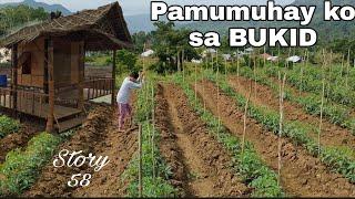 A Simple Lifestyle Here in the Philippines | Buhay Bukid