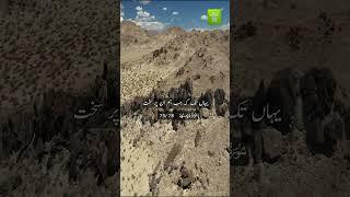 Surah Al Muminun (verses 75 to 78)#islam360 #shorts #qurantranslations #islamicpost #surahalmuminun