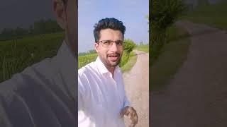 Village ke kheto pe | Mini Vlog | Israr Malik Vlog | #Shorts #dailylife #israrmalik #minivlogs