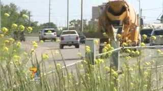 Fight continues as Cedar Rapids will file lawsuit to keep traffic cameras