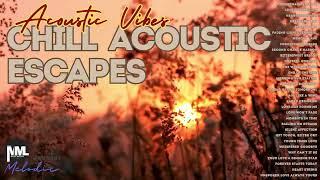 Chill Acoustic Escapes | MUSIC MOODS