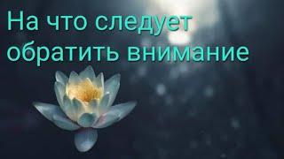 На что следует обратить внимание сейчас