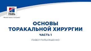 Вебинар на тему: “Основы торакальной хирургии.” Часть 1. Лектор Павел Пульняшенко.