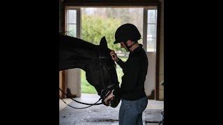 2023 Standardbred Incentive Program (SIP) -- USTrotting