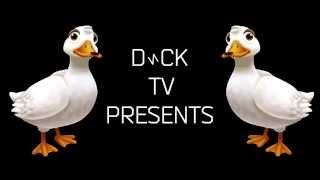 Arctic Ducks - Do I Wanna Duck?