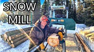 NEW SAWMILL to complete our OFF-GRID LIFE (Setup, First Try - WOODLAND HM122)