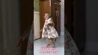 Monkey Lyly is curious to see what her mother is doing. #shorts #youtubeshorts #viralshort