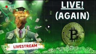 LIVE STREAM With Camel