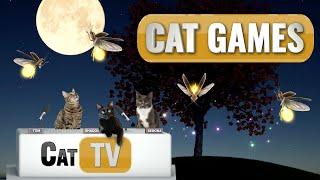 Cat TV Magic: Firefly Serenity in Whimsical Worlds  | Bug Videos For Cats to Watch | Relax my Cat 