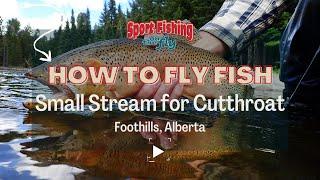 FLY FISHING: SMALL STREAM FOR CUTTHROAT TROUT