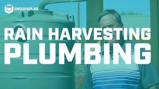 Rain Harvesting Plumbing: 'Wet' vs 'Dry' Delivery System