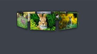 Pure CSS 3D Rotating Image Gallery With Only HTML & CSS | 3D Rotating Image Gallery