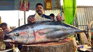 KASIMEDU  SPEED SELVAM | 57 KG GIANT TUNA FISH CUTTING | IN KASIMEDU | HD VIDEO | FF CUTTTING 