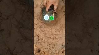 Find crabs easily,#survivalskills #outdoorsurvival #camping #shortvideo #shorts