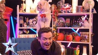 Stephen does a trick with Trip Hazard and he’s just TOO cute | Britain’s Got More Talent 2016