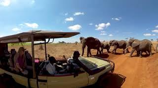 VR Lemala Wildlife Safari trip - Photos of Africa @livestreamnature @PhotosofAfrica @360ImageFilm.