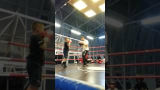 VIZANTINOS TARGET SPORT CLUB-BOXING JUNIOR - MITTPADS - XASAPIS